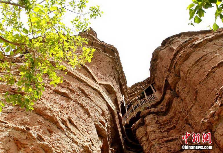 ���壺̽���й��ڶ��������� �ຣ����������