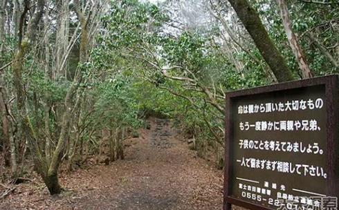 ȫ�����̬��10���ط�������Բ���ȥ��